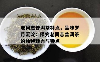 老同志普洱茶特点，品味岁月沉淀：探究老同志普洱茶的独特魅力与特点