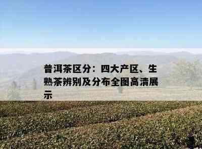 普洱茶区分：四大产区、生熟茶辨别及分布全图高清展示