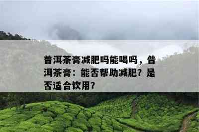 普洱茶膏减肥吗能喝吗，普洱茶膏：能否帮助减肥？是否适合饮用？