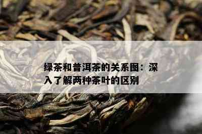 绿茶和普洱茶的关系图：深入了解两种茶叶的区别