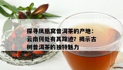 探寻凤凰窝普洱茶的产地：云南何处有其踪迹？揭示古树普洱茶的独特魅力