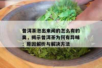 普洱茶泡出来闻的怎么有的臭，揭示普洱茶为何有异味：原因解析与解决方法