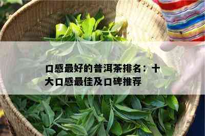 口感更好的普洱茶排名：十大口感更佳及口碑推荐