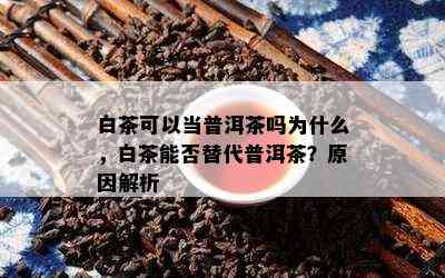 白茶可以当普洱茶吗为什么，白茶能否替代普洱茶？原因解析