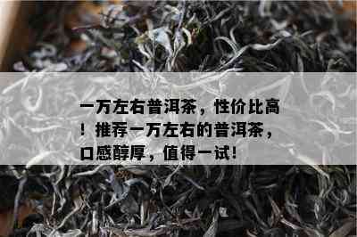 一万左右普洱茶，性价比高！推荐一万左右的普洱茶，口感醇厚，值得一试！