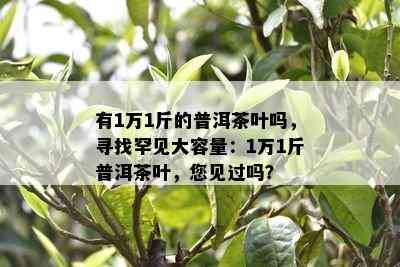 有1万1斤的普洱茶叶吗，寻找罕见大容量：1万1斤普洱茶叶，您见过吗？