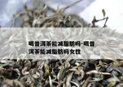 喝普洱茶能减脂肪吗-喝普洱茶能减脂肪吗女性