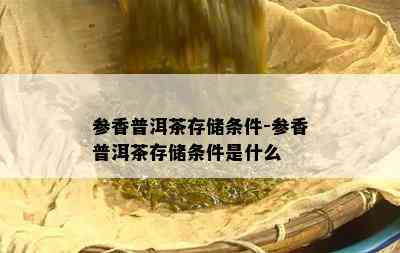 参香普洱茶存储条件-参香普洱茶存储条件是什么