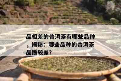 品相差的普洱茶有哪些品种，揭秘：哪些品种的普洱茶品质较差？