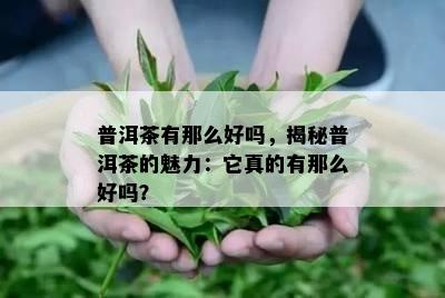 普洱茶有那么好吗，揭秘普洱茶的魅力：它真的有那么好吗？