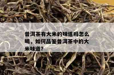 普洱茶有大米的味道吗怎么喝，如何品鉴普洱茶中的大米味道？