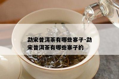 勐宋普洱茶有哪些寨子-勐宋普洱茶有哪些寨子的