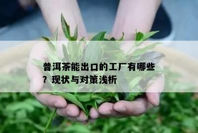 普洱茶能出口的工厂有哪些？现状与对策浅析