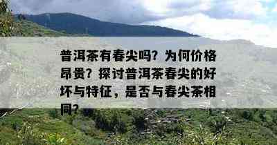 普洱茶有春尖吗？为何价格昂贵？探讨普洱茶春尖的好坏与特征，是否与春尖茶相同？