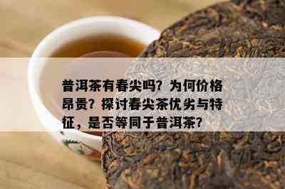 普洱茶有春尖吗？为何价格昂贵？探讨春尖茶优劣与特征，是否等同于普洱茶？