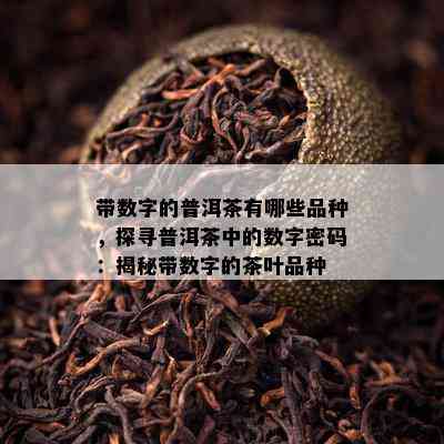 带数字的普洱茶有哪些品种，探寻普洱茶中的数字密码：揭秘带数字的茶叶品种