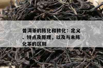 普洱茶的陈化和转化：定义、特点及原理，以及与未陈化茶的区别