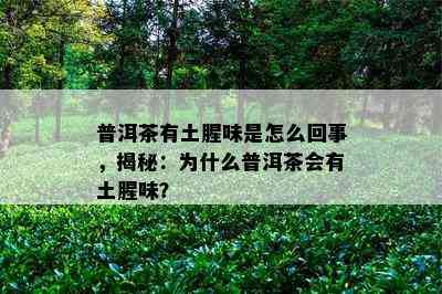 普洱茶有土腥味是怎么回事，揭秘：为什么普洱茶会有土腥味？