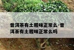 普洱茶有土腥味正常么-普洱茶有土腥味正常么吗