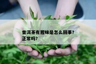 普洱茶有腥味是怎么回事？正常吗？