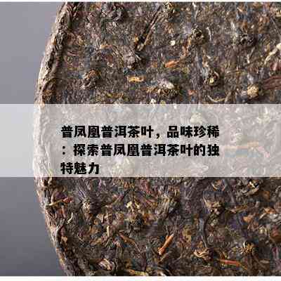 普凤凰普洱茶叶，品味珍稀：探索普凤凰普洱茶叶的独特魅力