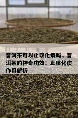 普洱茶可以止咳化痰吗，普洱茶的神奇功效：止咳化痰作用解析