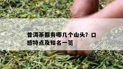 普洱茶都有哪几个山头？口感特点及知名一览