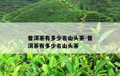 普洱茶有多少名山头茶-普洱茶有多少名山头茶