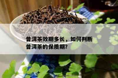 普洱茶效期多长，如何判断普洱茶的保质期？