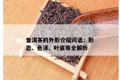 普洱茶的外形介绍词语：形态、色泽、叶底等全解析