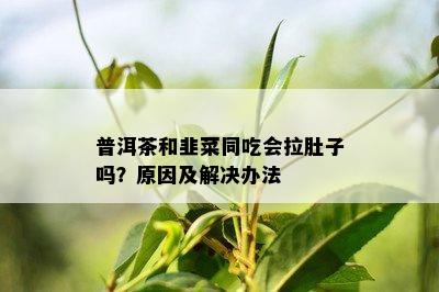 普洱茶和韭菜同吃会拉肚子吗？原因及解决办法