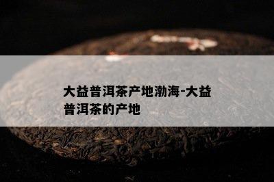 大益普洱茶产地渤海-大益普洱茶的产地