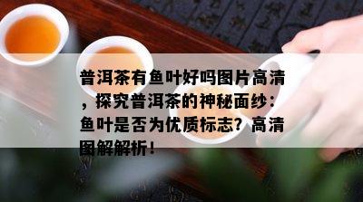 普洱茶有叶好吗图片高清，探究普洱茶的神秘面纱：叶是否为优质标志？高清图解解析！