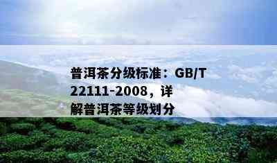 普洱茶分级标准：GB/T22111-2008，详解普洱茶等级划分