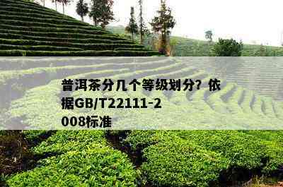 普洱茶分几个等级划分？依据GB/T22111-2008标准