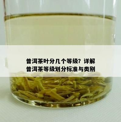 普洱茶叶分几个等级？详解普洱茶等级划分标准与类别