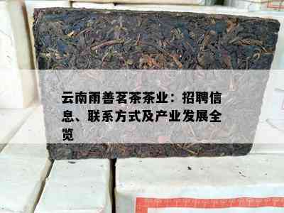 云南雨善茗茶茶业：招聘信息、联系方式及产业发展全览