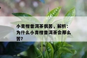 小青柑普洱茶很苦，解析：为什么小青柑普洱茶会那么苦？