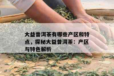 大益普洱茶有哪些产区和特点，探秘大益普洱茶：产区与特色解析