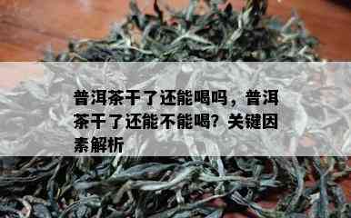 普洱茶干了还能喝吗，普洱茶干了还能不能喝？关键因素解析