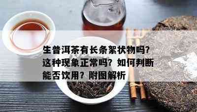 生普洱茶有长条絮状物吗？这种现象正常吗？如何判断能否饮用？附图解析