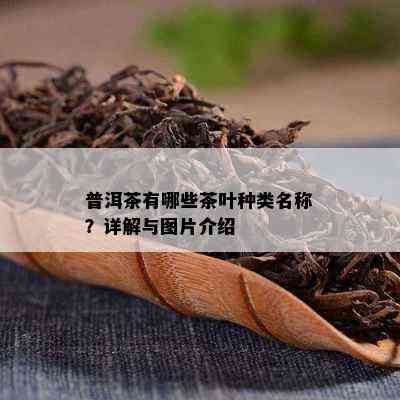 普洱茶有哪些茶叶种类名称？详解与图片介绍