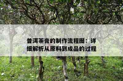 普洱茶膏的制作流程图：详细解析从原料到成品的过程