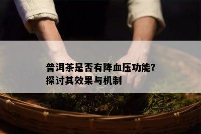 普洱茶是否有降血压功能？探讨其效果与机制