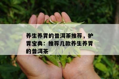 养生养胃的普洱茶推荐，护胃宝典：推荐几款养生养胃的普洱茶