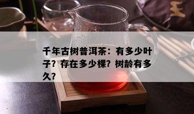 千年古树普洱茶：有多少叶子？存在多少棵？树龄有多久？