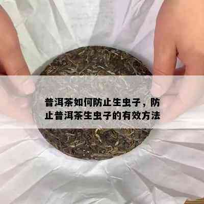 普洱茶如何防止生虫子，防止普洱茶生虫子的有效方法