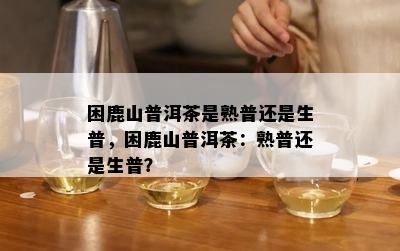 困鹿山普洱茶是熟普还是生普，困鹿山普洱茶：熟普还是生普？