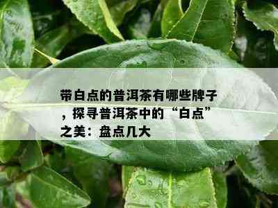 带白点的普洱茶有哪些牌子，探寻普洱茶中的“白点”之美：盘点几大