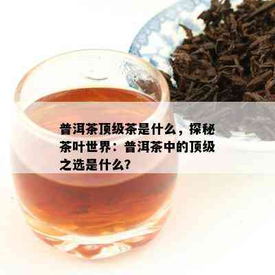 普洱茶顶级茶是什么，探秘茶叶世界：普洱茶中的顶级之选是什么？